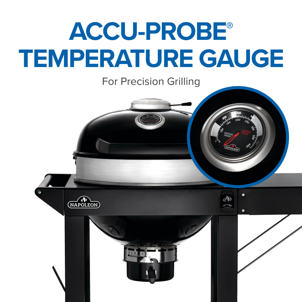 Professional 22 Charcoal Cart