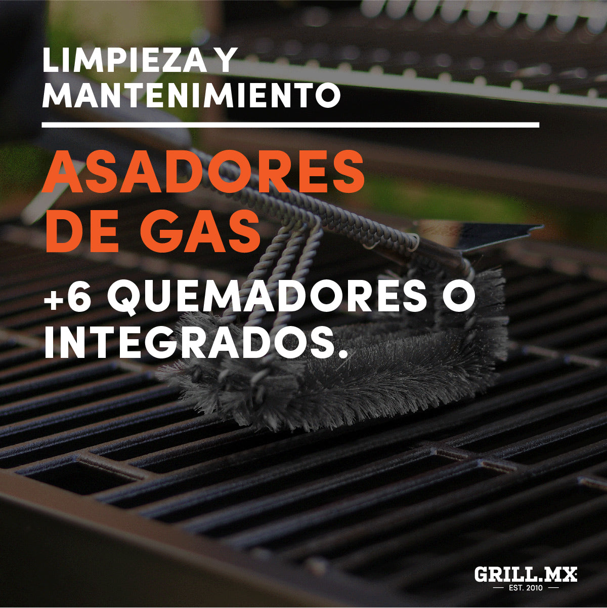 Mantenimiento asadores de Gas más de 6 quemadores o integrados