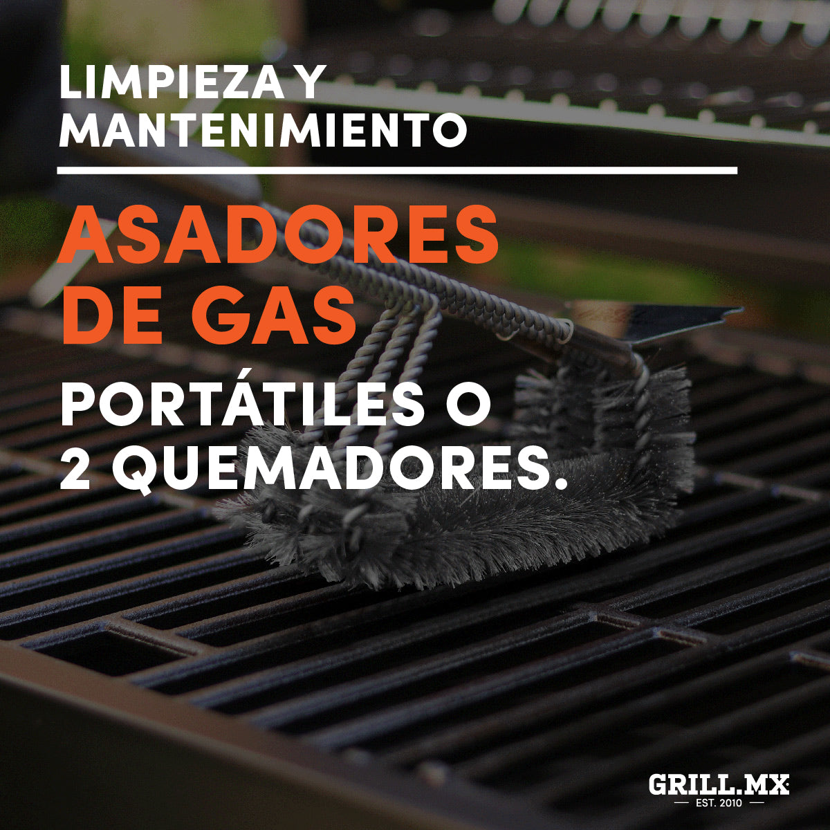 Mantenimiento asadores de Gas portátiles y 2 quemadores