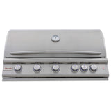 Blaze 40-Inch 5-Burner Premium LTE+ Gas LP Grill with Rear Burner and Built-in Lighting System