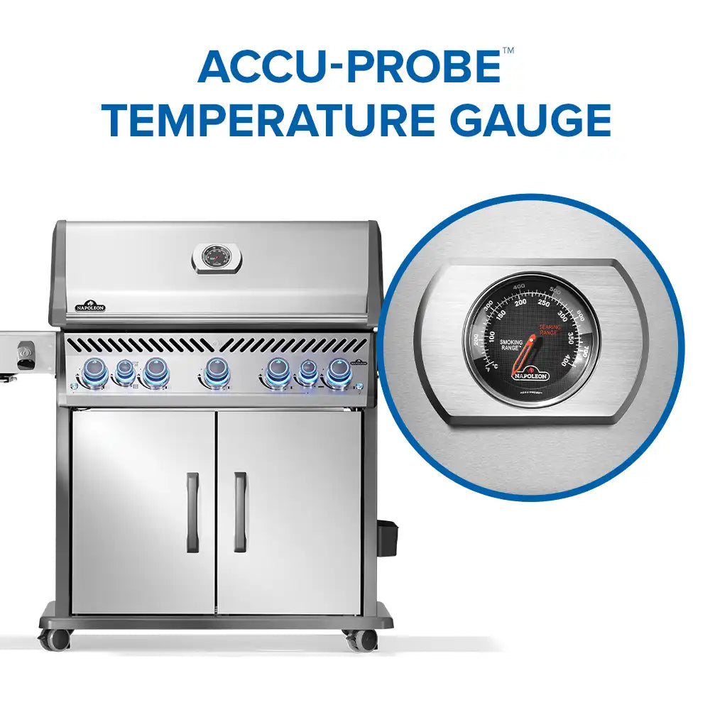Rogue® PRO-S 625 RSIB con quemadores traseros y laterales infrarrojos - GAS LP