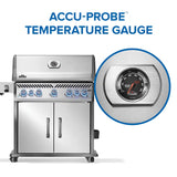 Rogue® PRO-S 625 RSIB con quemadores traseros y laterales infrarrojos - GAS LP