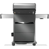Rogue® PRO-S 425 RSIB con quemadores traseros y laterales infrarrojos - GAS LP