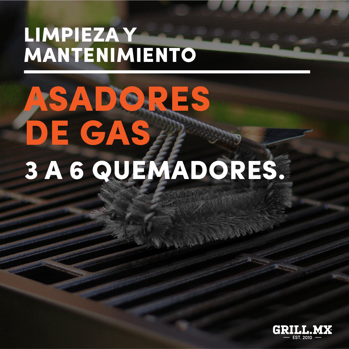 Mantenimiento asadores de Gas 3 a 6 quemadores